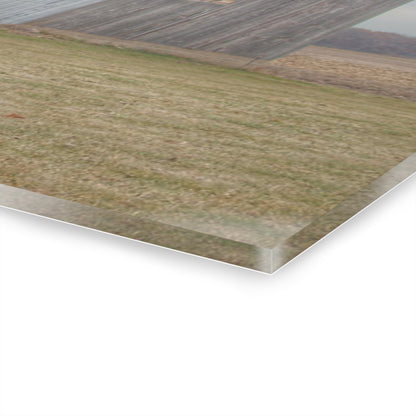 U R There Photography Forest Road Grey Rustic Farmhouse Acrylic Wall Print