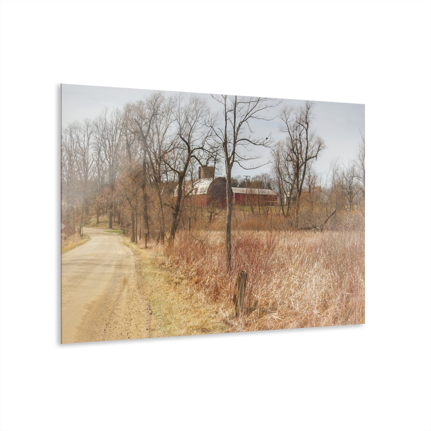 U R There Photography Hough Road Hidden Reds Rustic Farmhouse Acrylic Wall Print