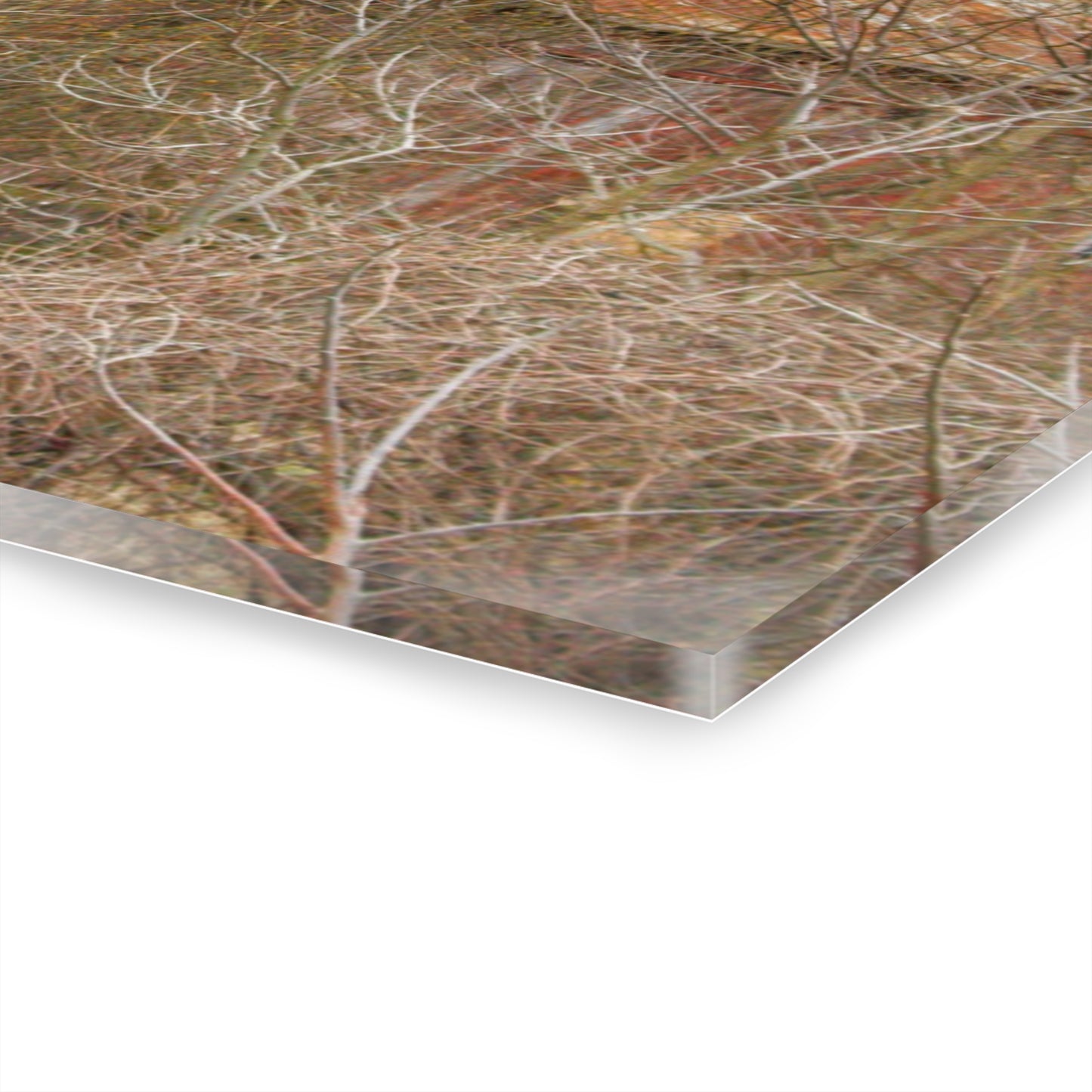 U R There Photography Klam Road Hidden Gable Red Rustic Farmhouse Acrylic Wall Print