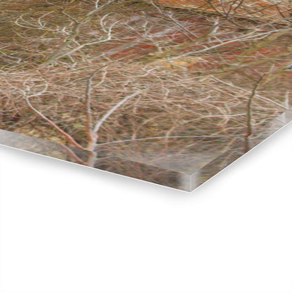 U R There Photography Klam Road Hidden Gable Red Rustic Farmhouse Acrylic Wall Print