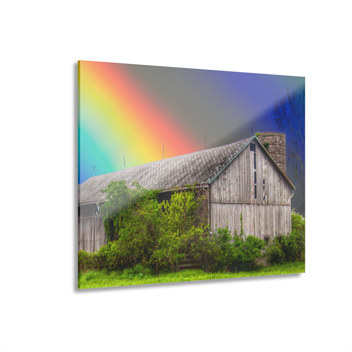 U R There Photography Wilder Road Wonderment Rustic Farmhouse Acrylic Wall Print