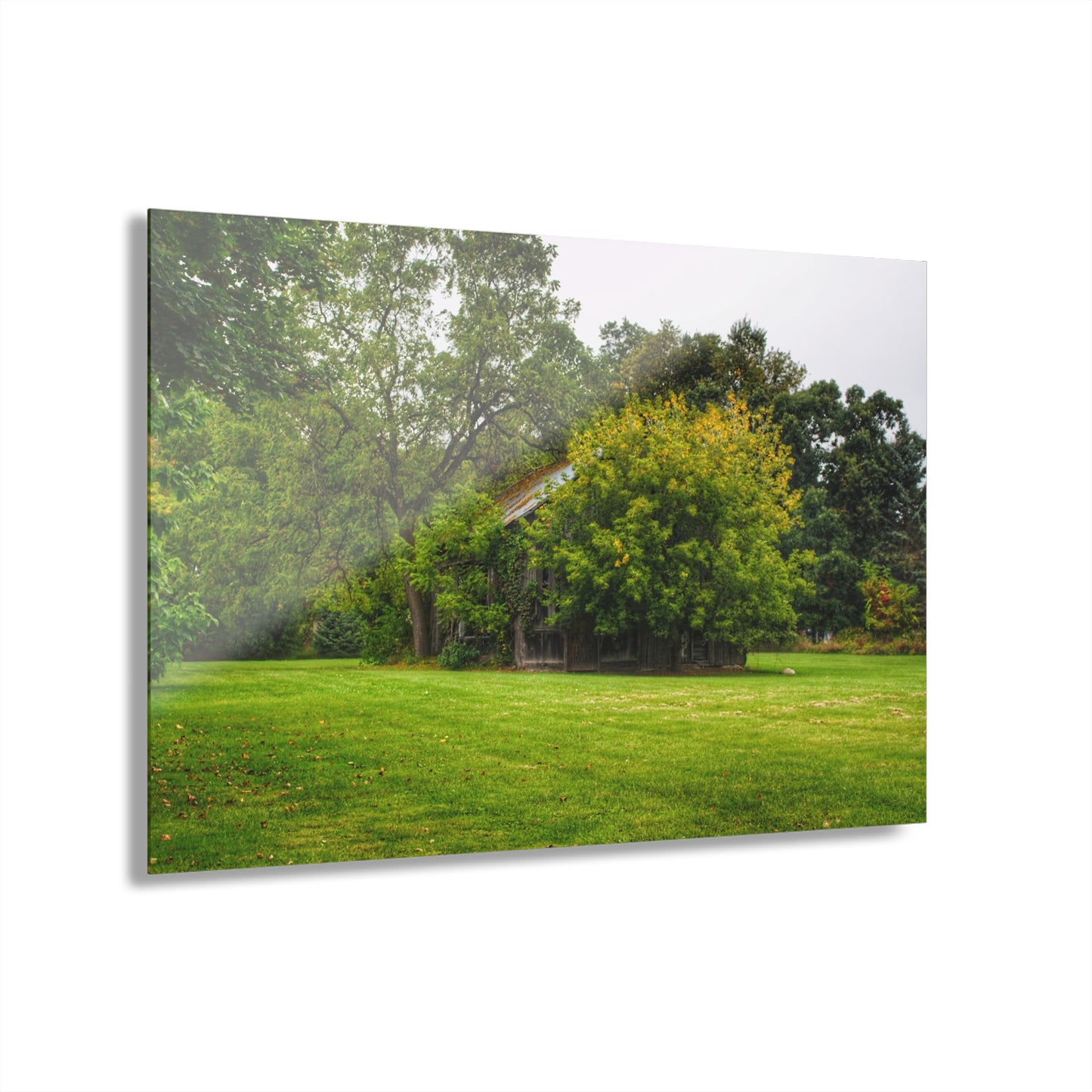 U R There Photography Hidden Past Rustic Farmhouse Acrylic Wall Print