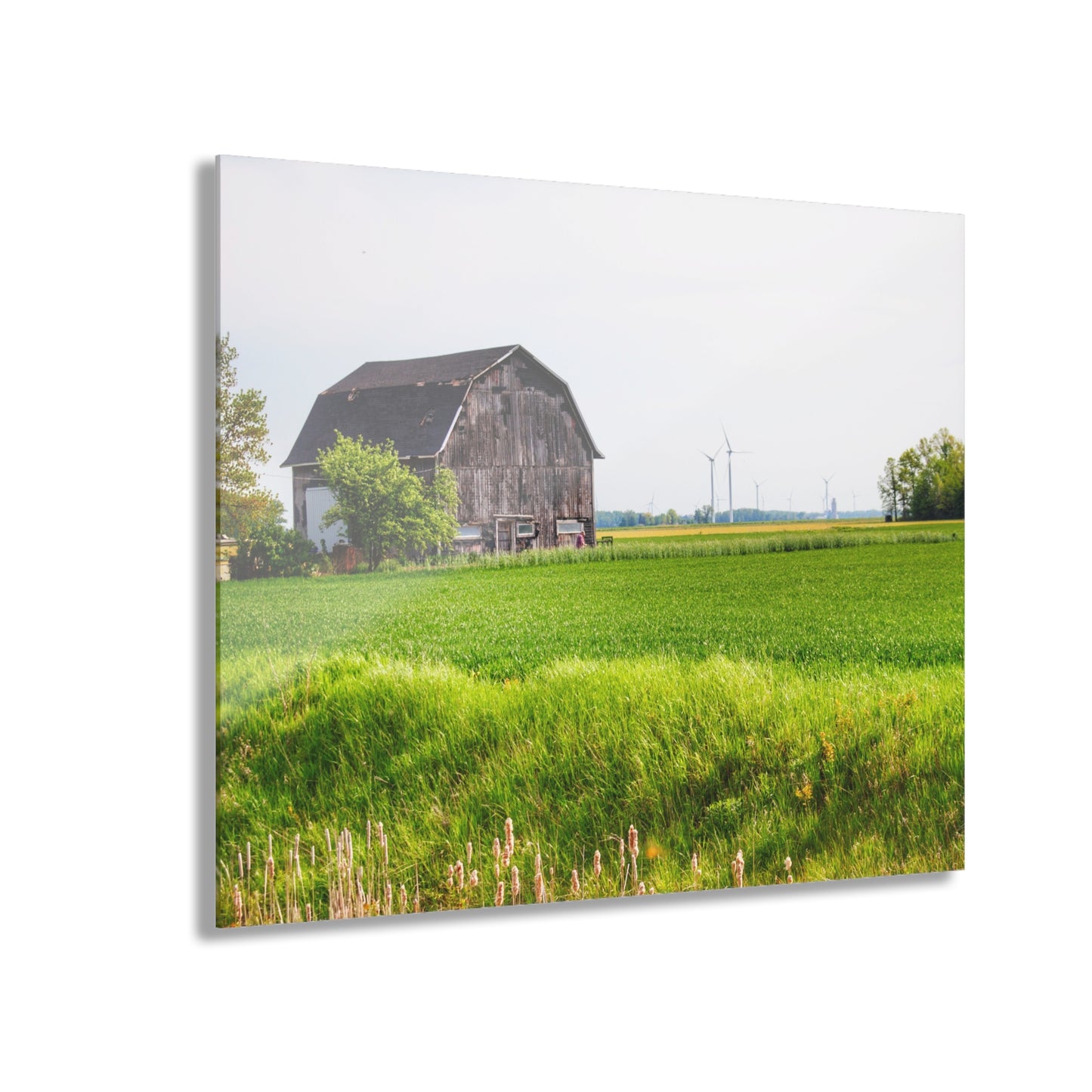 U R There Photography North Graf Road Old Grey Rustic Farmhouse Acrylic Wall Print