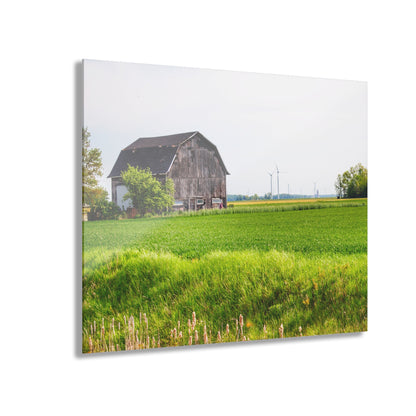 U R There Photography North Graf Road Old Grey Rustic Farmhouse Acrylic Wall Print