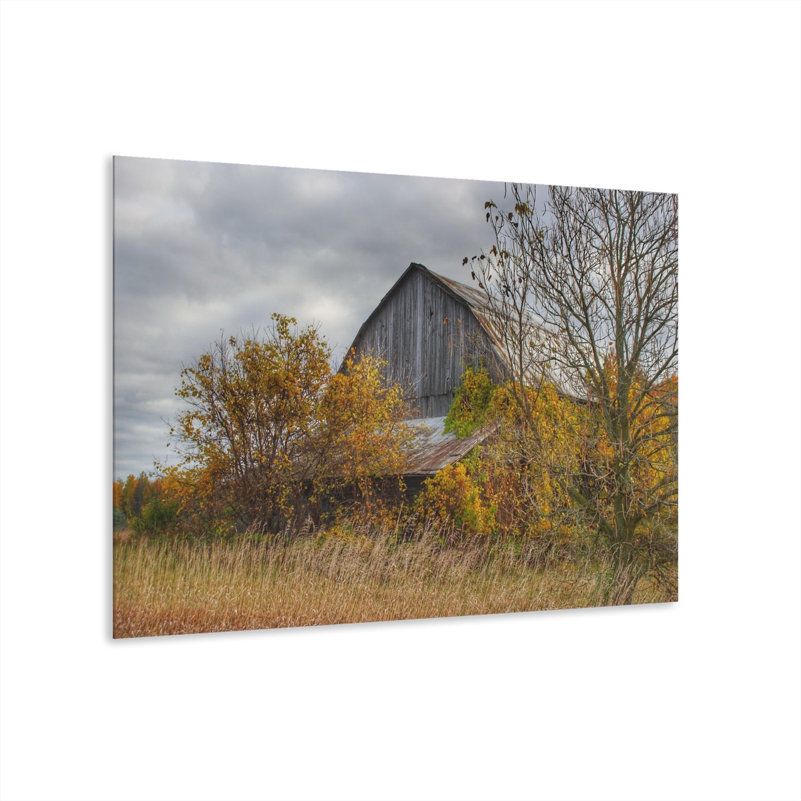Church Road Grey IV Rustic Farmhouse Acrylic Wall Print