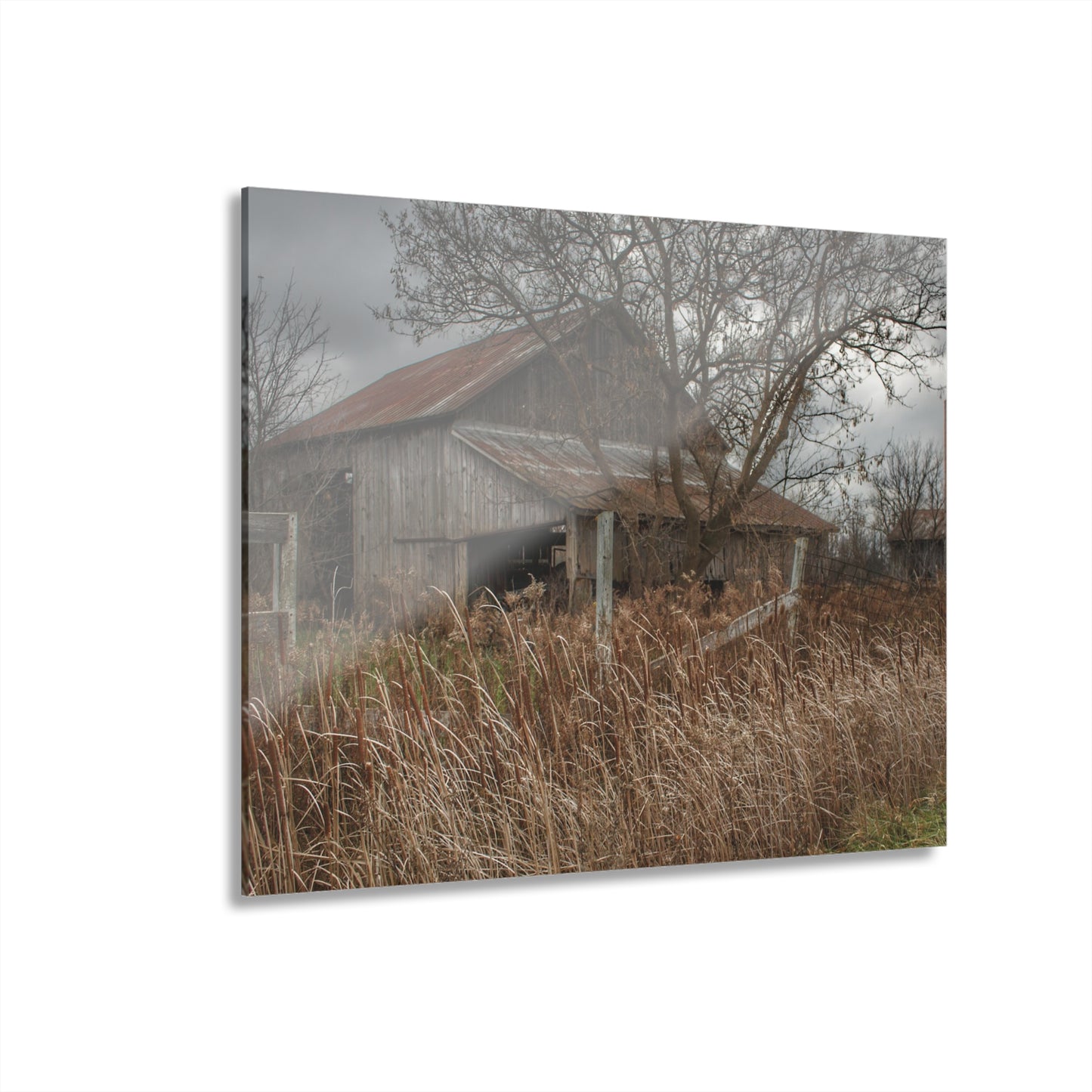 U R There Photography Grey Saltbox Rustic Farmhouse Acrylic Wall Print