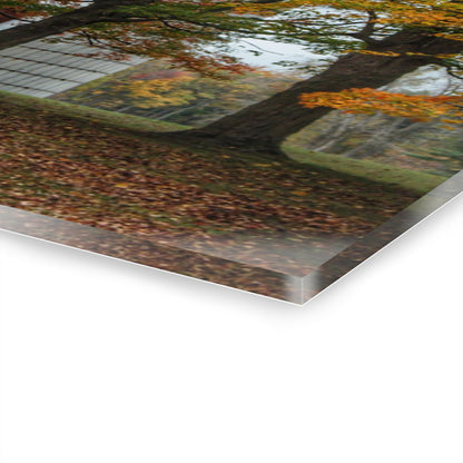 U R There Photography Brown Road Red in the Fall Rustic Farmhouse Acrylic Wall Print