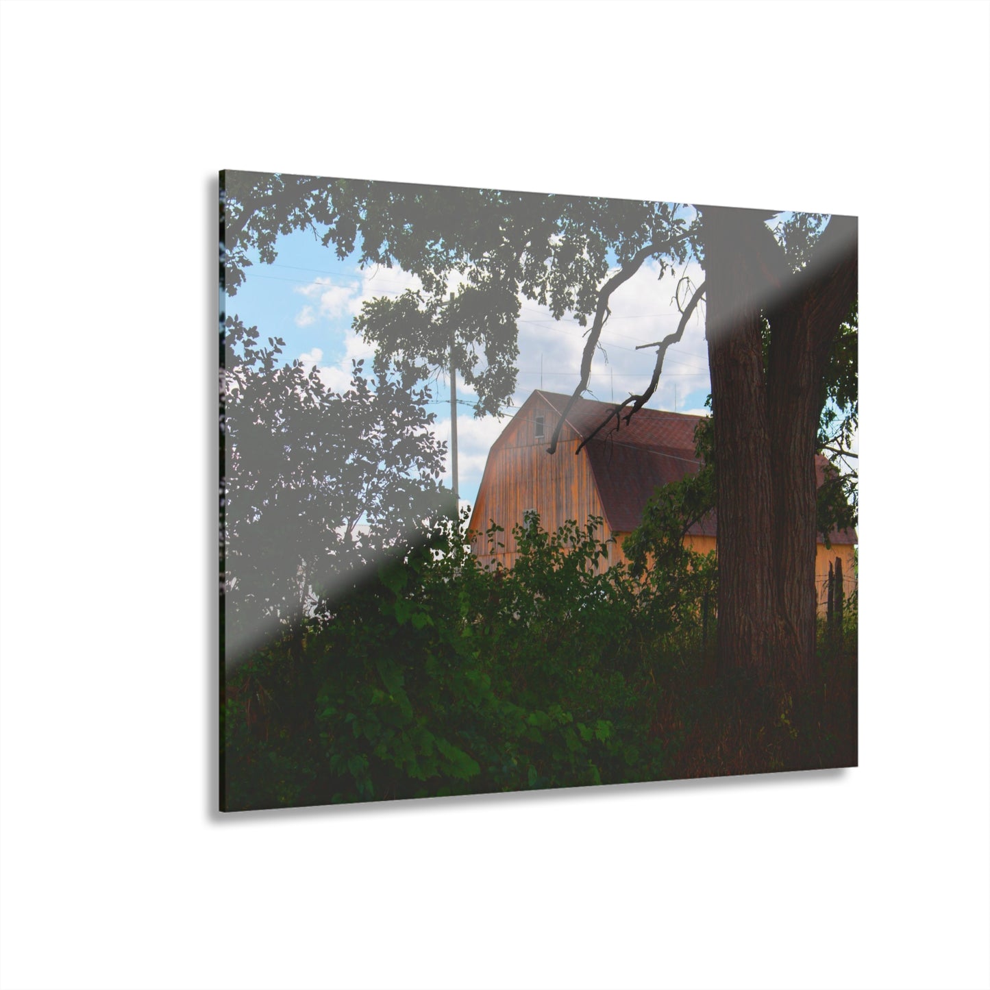 U R There Photography Bristol Gold Hidden Rustic Farmhouse Acrylic Wall Print