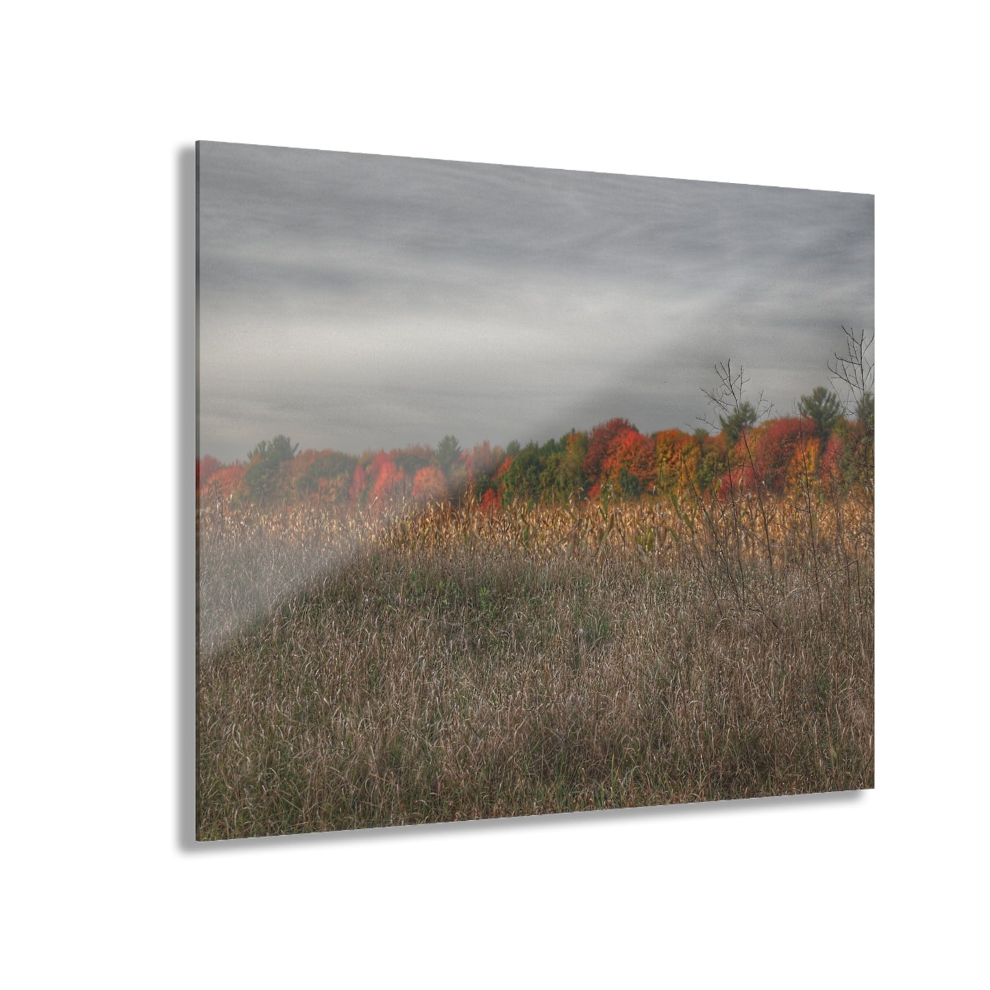 U R There Photography Fall on Murphy Lake V Rustic Farmhouse Acrylic Wall Print
