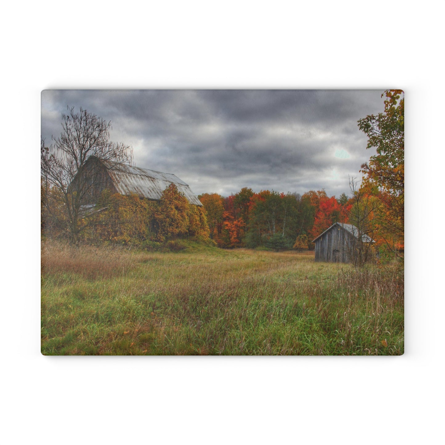 U R There Photography Church Road Grey and Little Grey Rustic Farmhouse Tempered-Glass Cutting Board