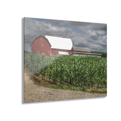 U R There Photography Millington Road Reds Rustic Farmhouse Acrylic Wall Print