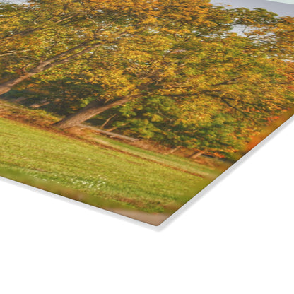 U R There Photography Barkley Road Red II Rustic Farmhouse Tempered-Glass Cutting Board