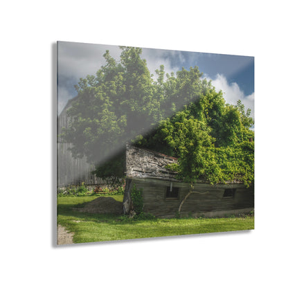 U R There Photography Brown City Road Barn and Buddy I Rustic Farmhouse Acrylic Wall Print