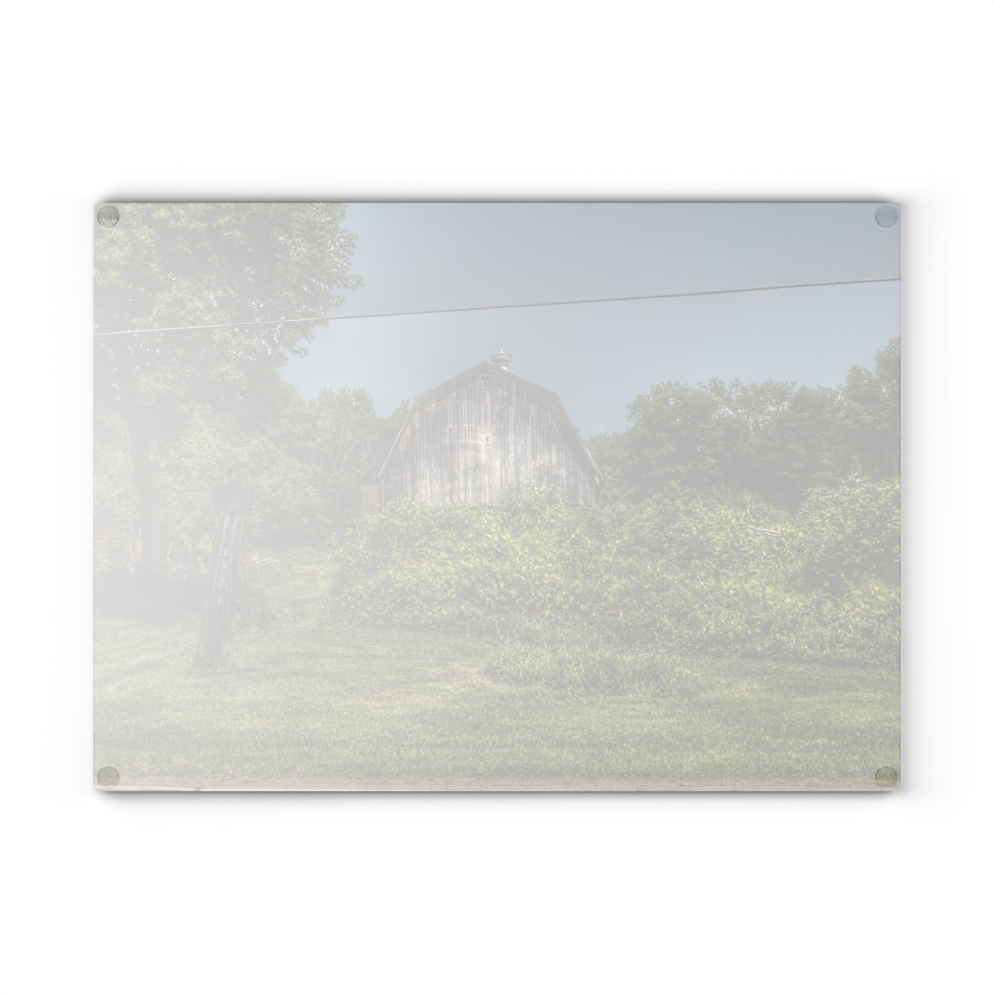U R There Photography Vassar Road Hidden Grey I Rustic Farmhouse Tempered-Glass Cutting Board