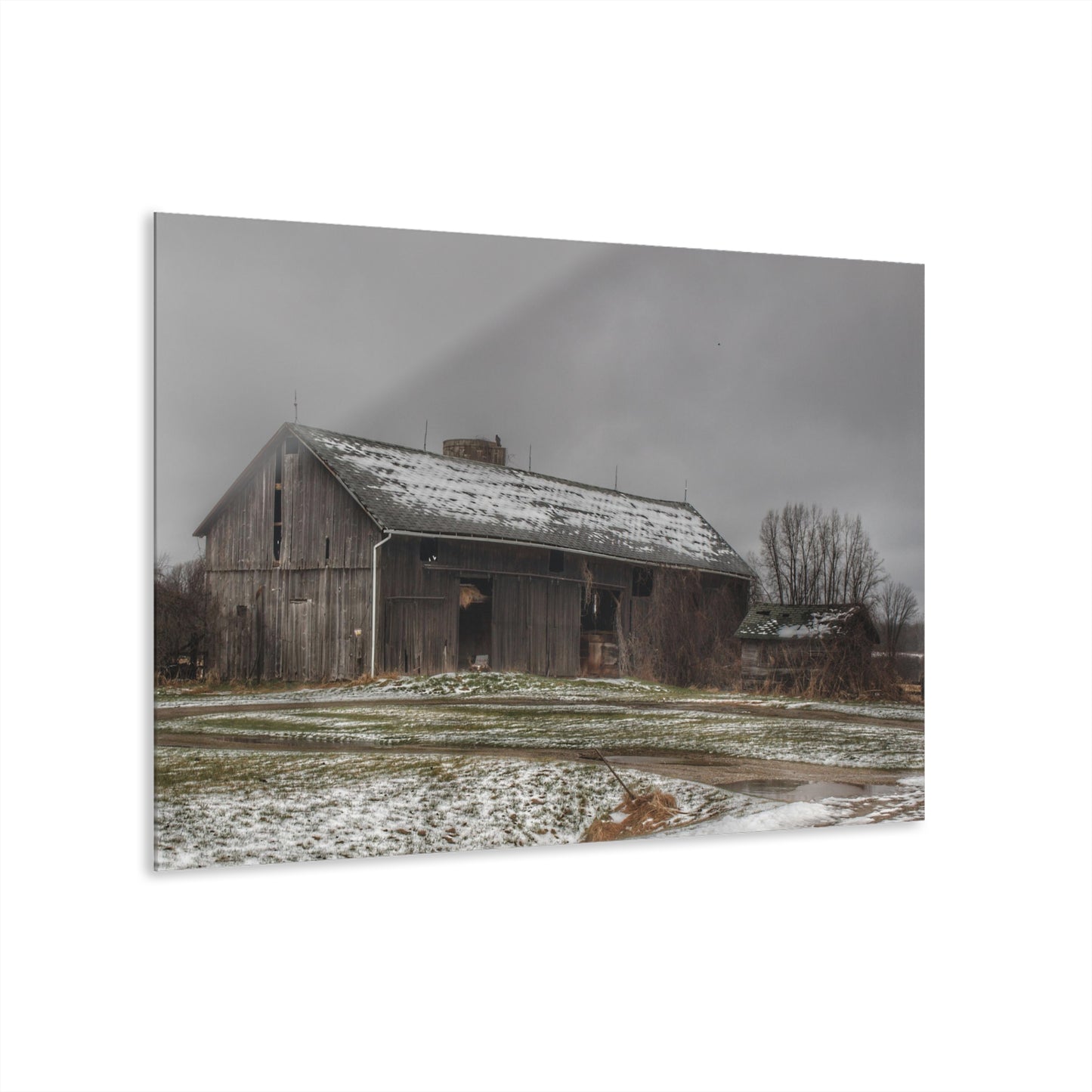 Wilder Road Grey in Spring Rustic Farmhouse Acrylic Wall Print