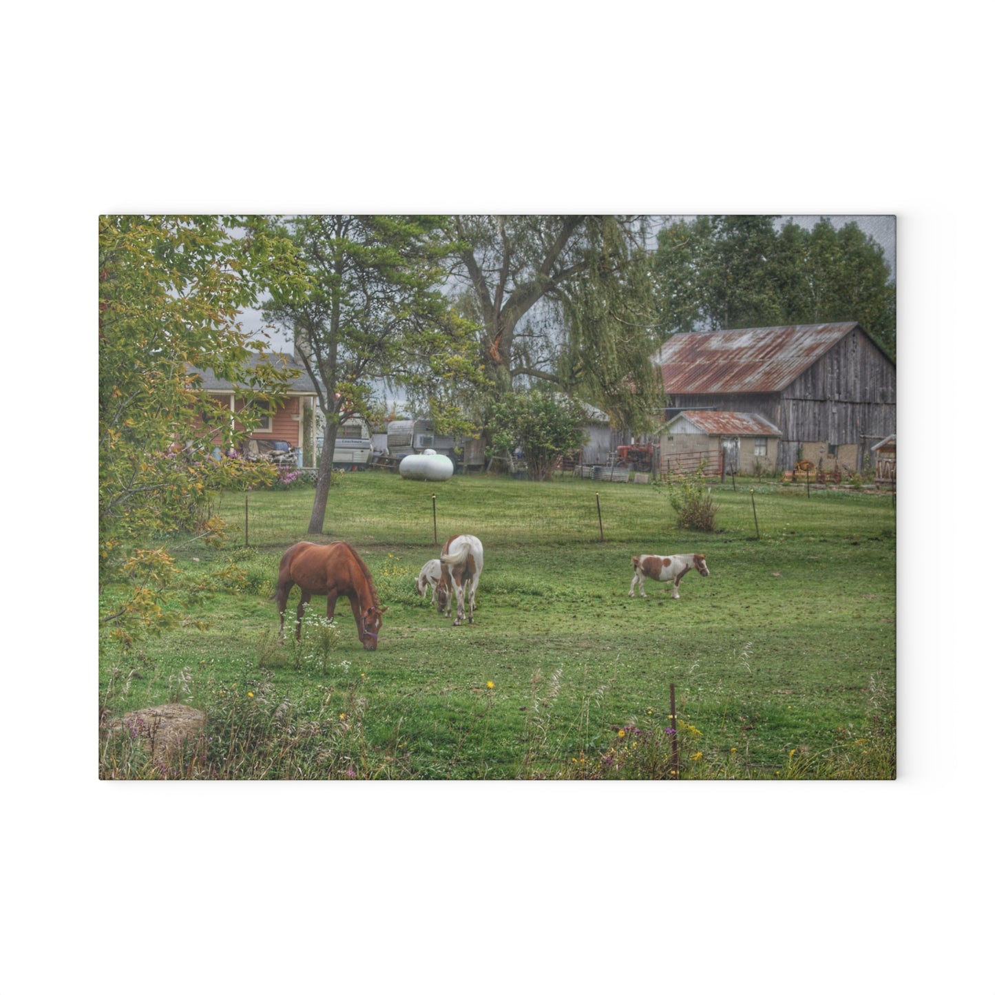 U R There Photography Front Yard Ponies Rustic Farmhouse Tempered-Glass Cutting Board