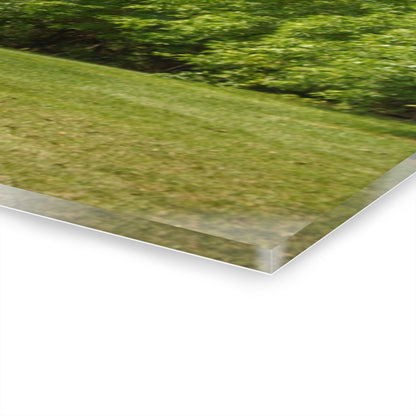 U R There Photography Hunters Creek White Rustic Farmhouse Acrylic Wall Print