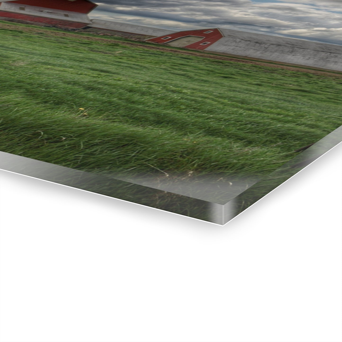 U R There Photography North Sandusky Reds Rustic Farmhouse Acrylic Wall Print