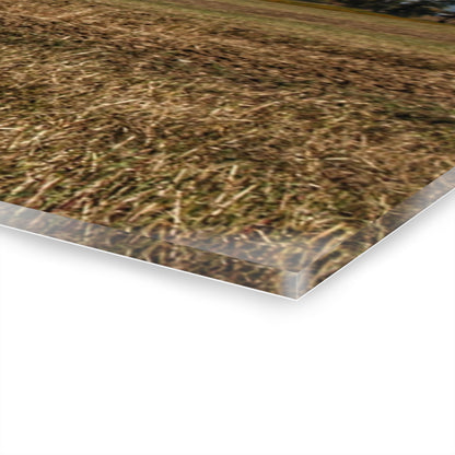 U R There Photography Freiberger Road Little Grey Shack Rustic Farmhouse Acrylic Wall Print