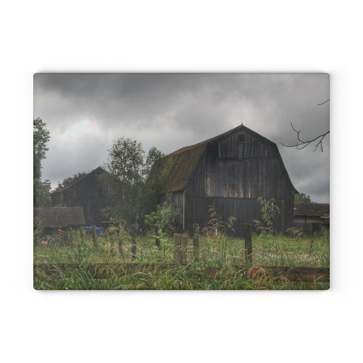 U R There Photography Greys of Summer Road Rustic Farmhouse Tempered-Glass Cutting Board