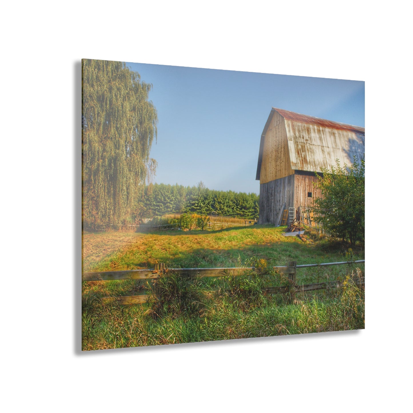 U R There Photography Snover Golden Grey Rustic Farmhouse Acrylic Wall Print