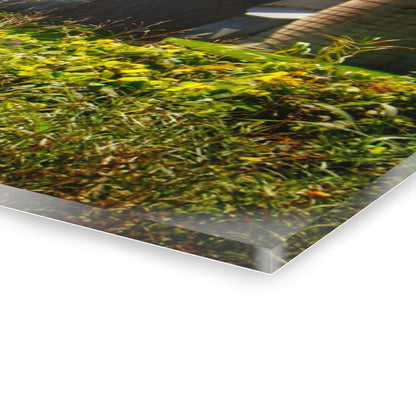 U R There Photography Hough Road Greys Rustic Farmhouse Acrylic Wall Print