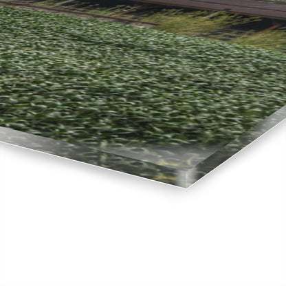 U R There Photography East Millington Road Grey and Stable Rustic Farmhouse Acrylic Wall Print