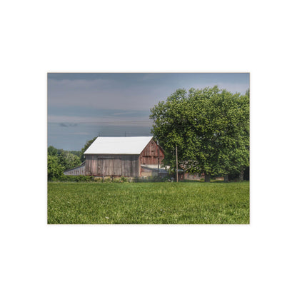 U R There Photography Castle Road Cow Barn III Rustic Farmhouse Decorative Ceramic Tile