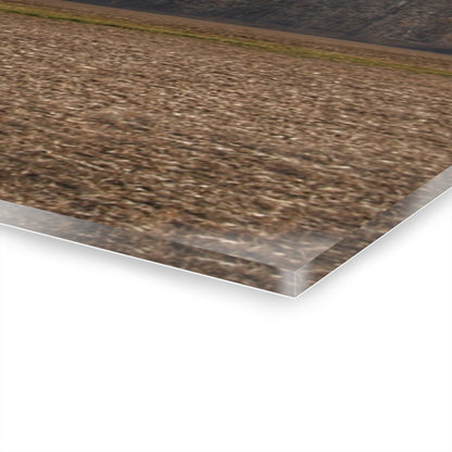 U R There Photography Grey Quonset Among the Pines Rustic Farmhouse Acrylic Wall Print