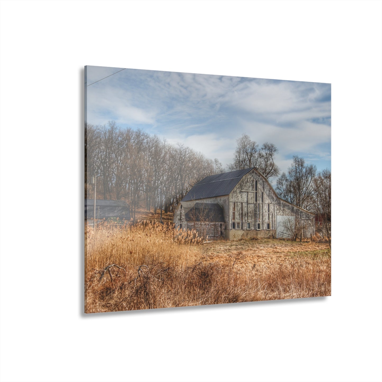 U R There Photography Newark Road White I Rustic Farmhouse Acrylic Wall Print