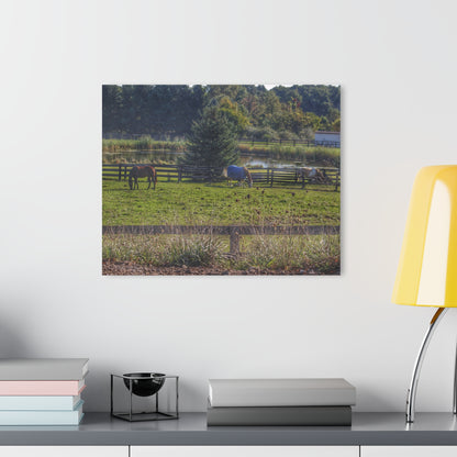 Barn Boutique Modern Farmhouse Acrylic Wall Print| Lake George Ponies