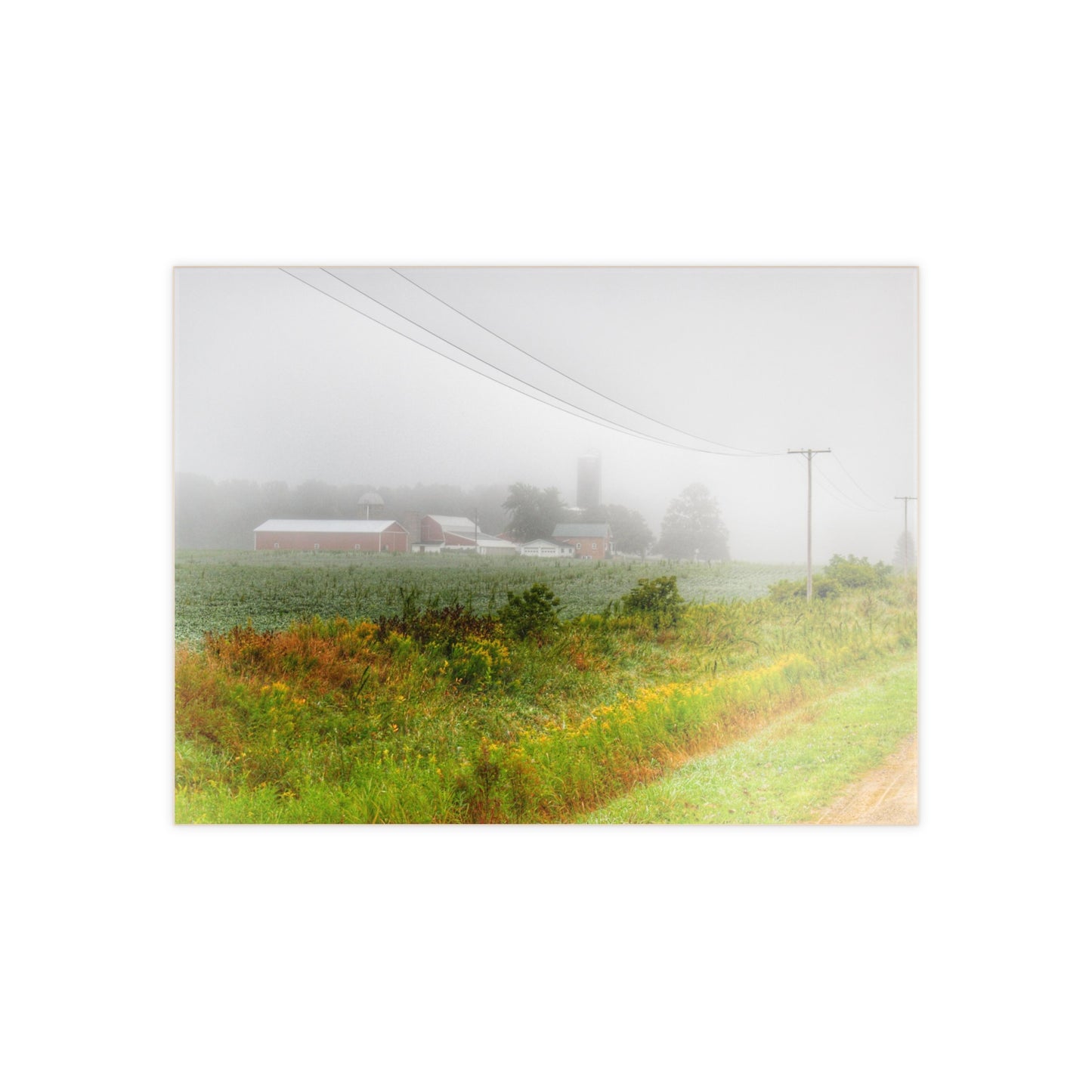 U R There Photography Beyond the Fog Rustic Farmhouse Decorative Ceramic Tile