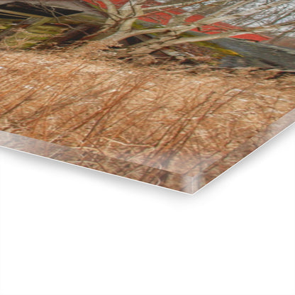 U R There Photography North Five Lakes Road Red Rustic Farmhouse Acrylic Wall Print