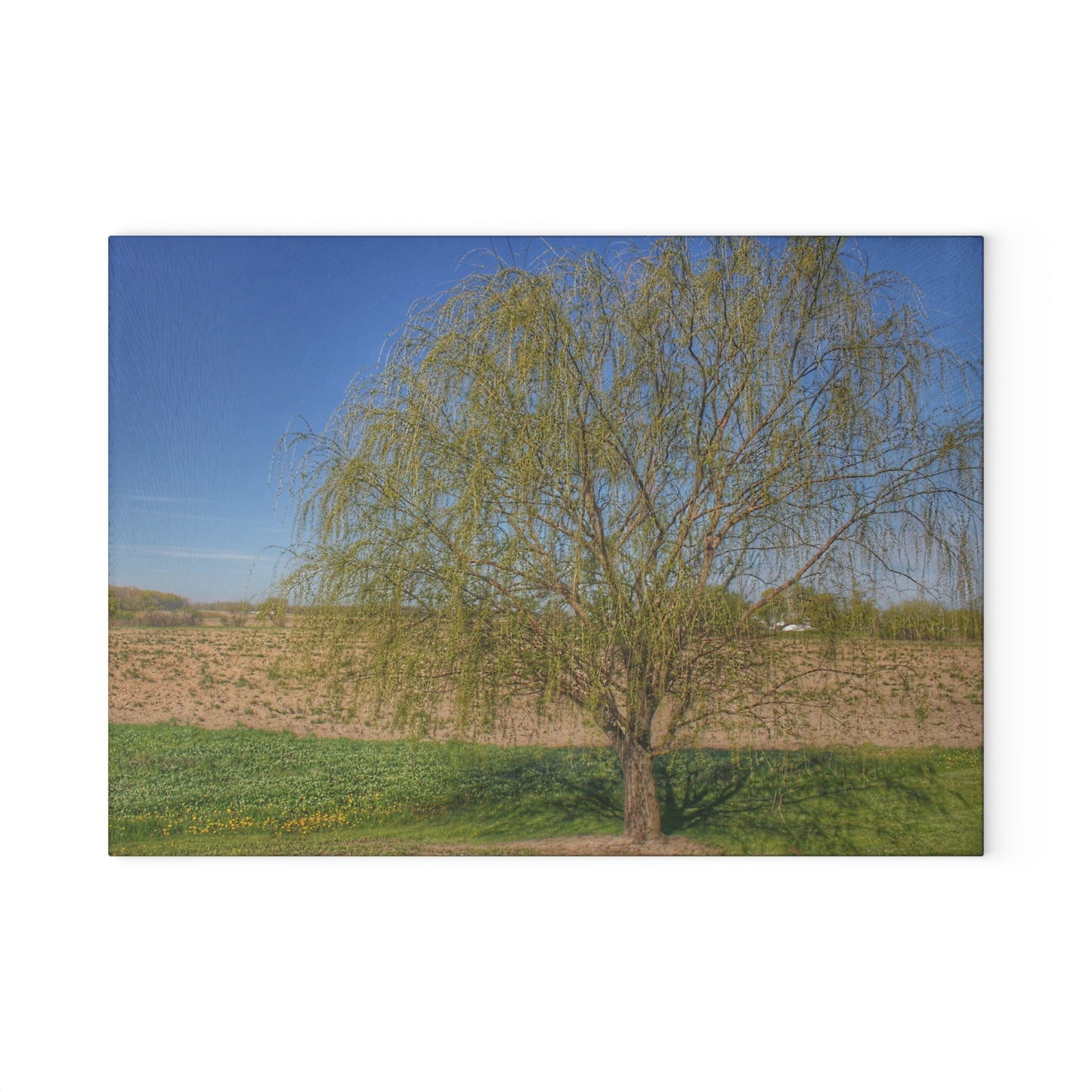 U R There Photography Spring Farm Willow Tree Rustic Farmhouse Tempered-Glass Cutting Board