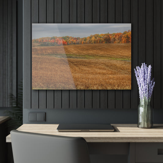 Barn Boutique Modern Farmhouse Acrylic Wall Print| Colors of Fall on Lippencott Road