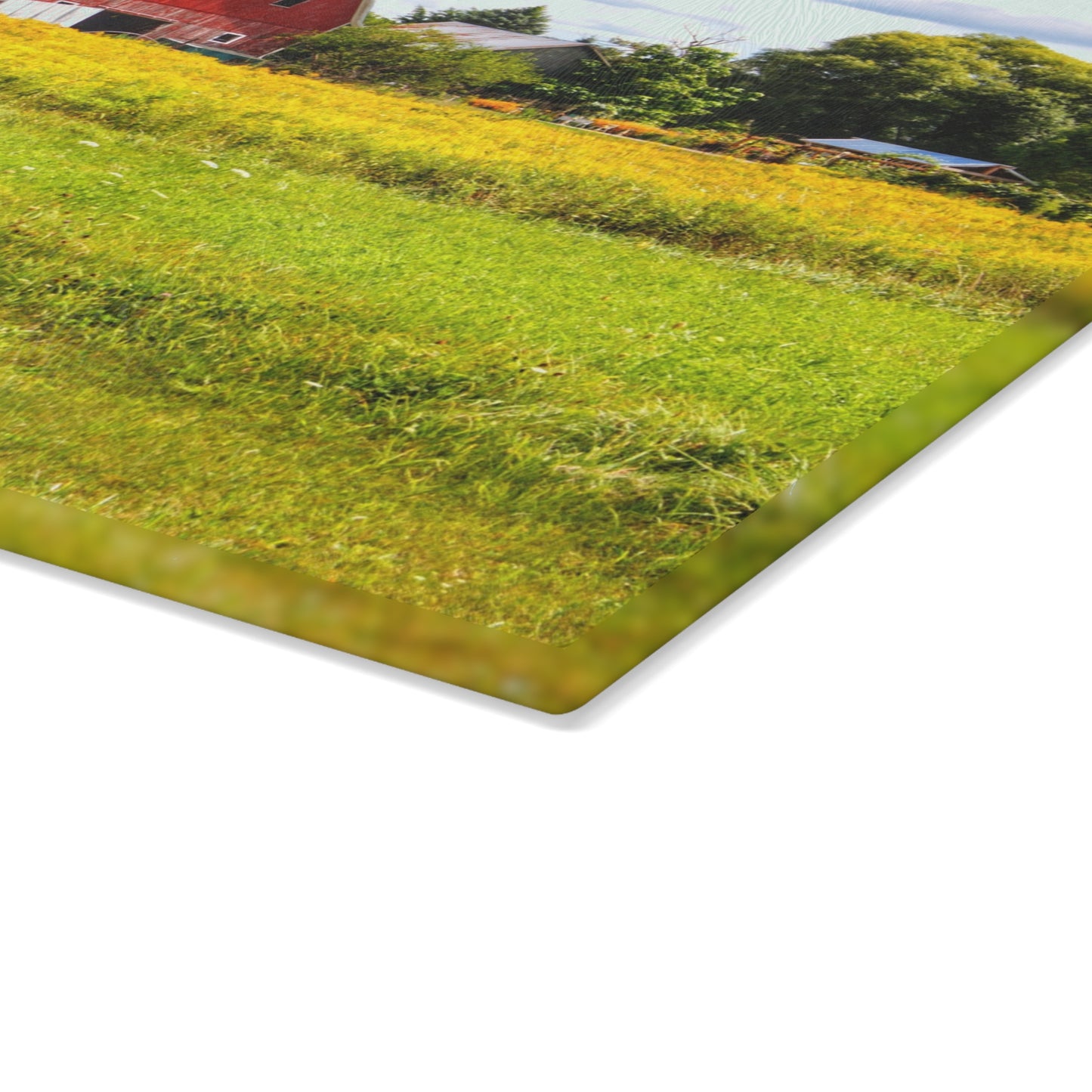 U R There Photography Starr Court Red I Rustic Farmhouse Tempered-Glass Cutting Board