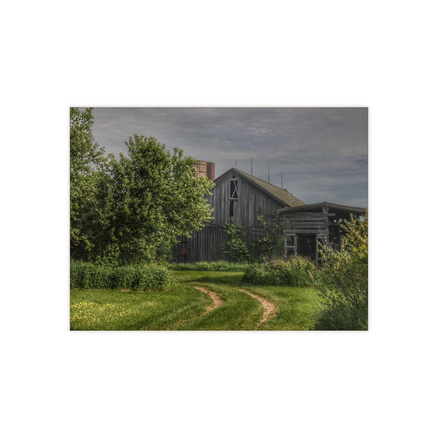 U R There Photography Barkley Road Greys I Rustic Farmhouse Decorative Ceramic Tile 6" × 8" Glossy