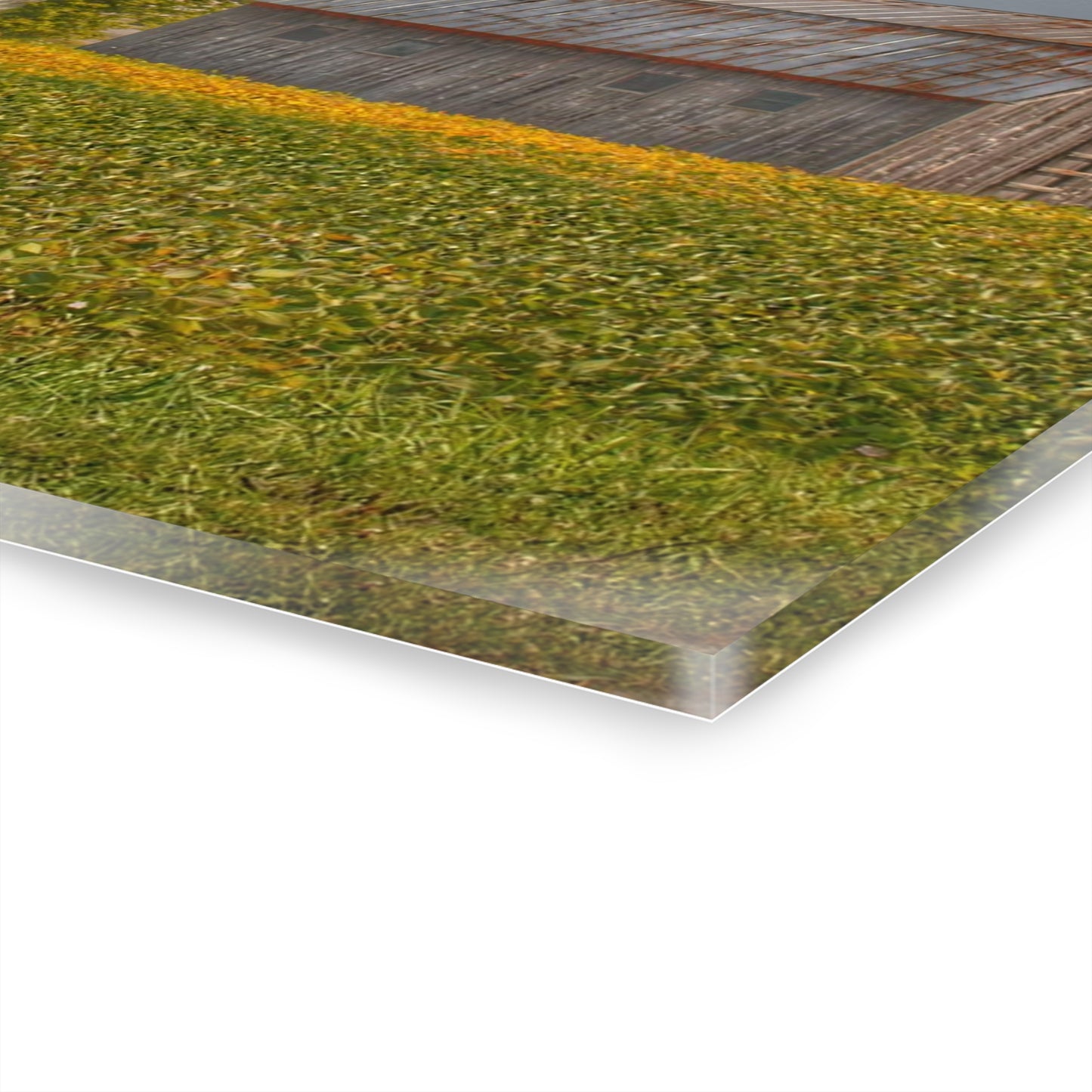 U R There Photography Swaffer Road Duo Rustic Farmhouse Acrylic Wall Print