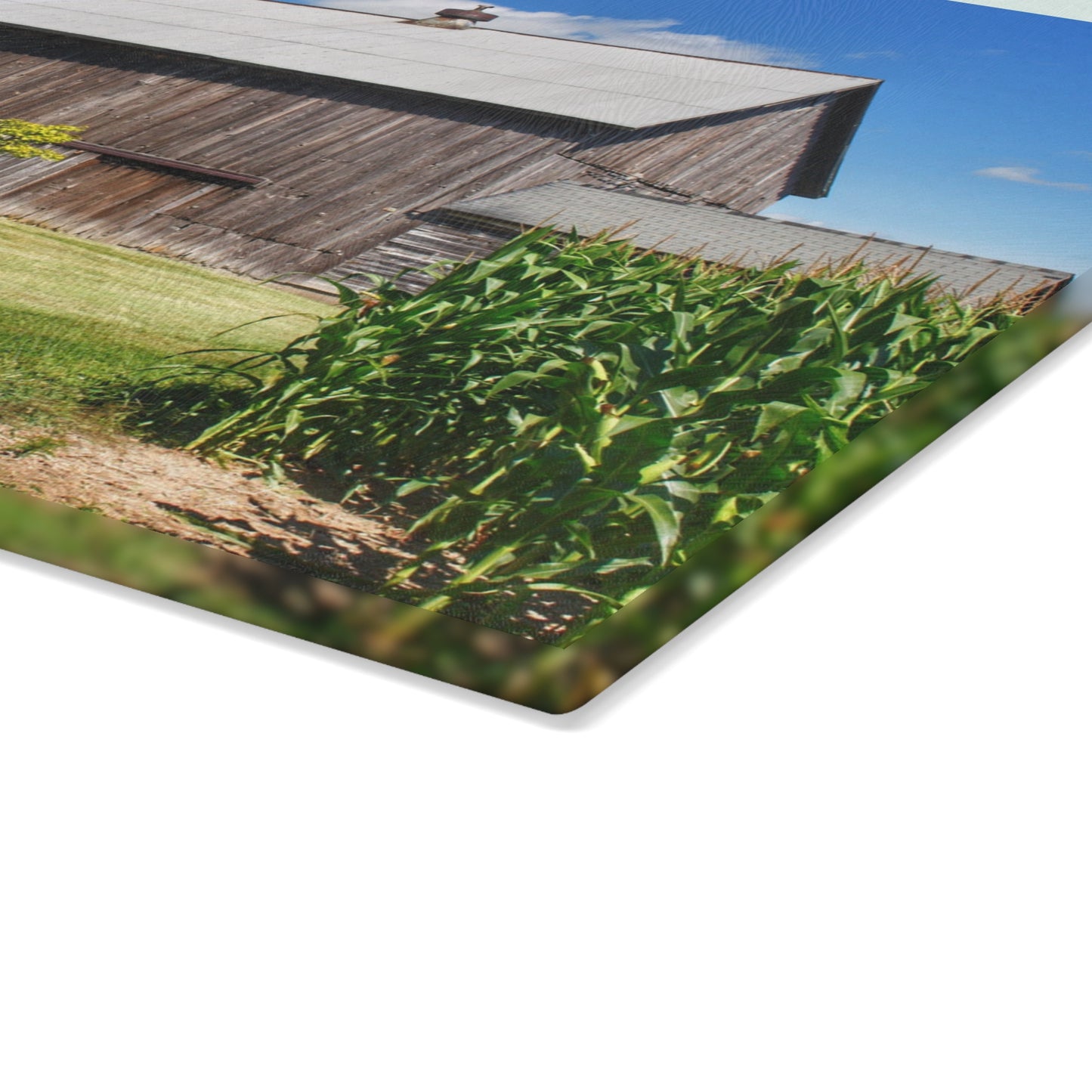 U R There Photography Frog Barn Rustic Farmhouse Tempered-Glass Cutting Board