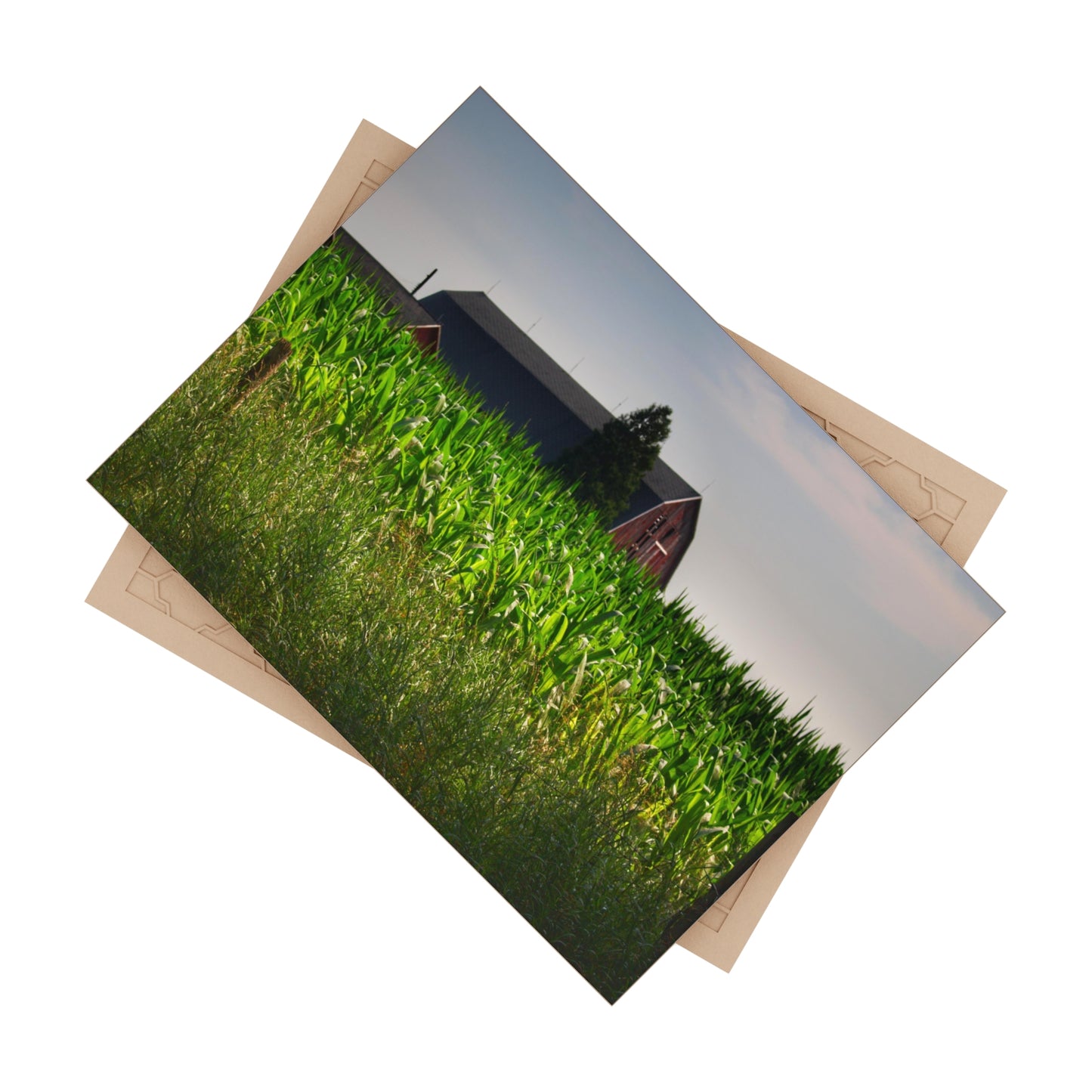 U R There Photography Beyond the Corn in Metamora Rustic Farmhouse Decorative Ceramic Tile