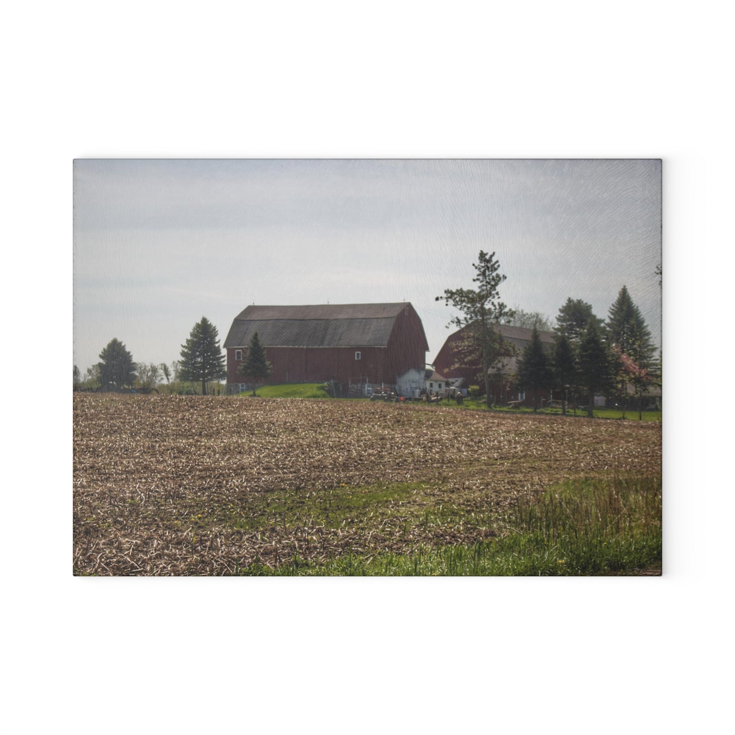 U R There Photography Bishop Road Reds IV Rustic Farmhouse Tempered-Glass Cutting Board