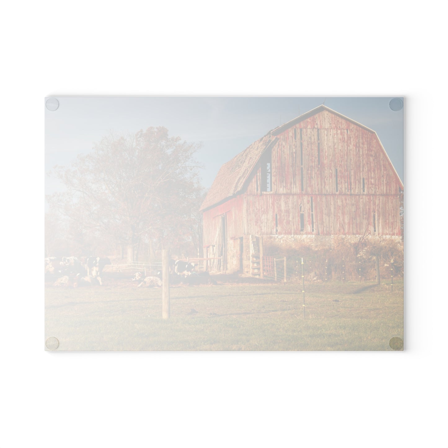 U R There Photography Marathon Road Red Rustic Farmhouse Tempered-Glass Cutting Board 8"x 11"