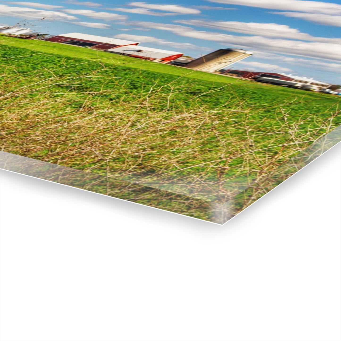 U R There Photography Pattison Road Farm Across the Field II Rustic Farmhouse Acrylic Wall Print
