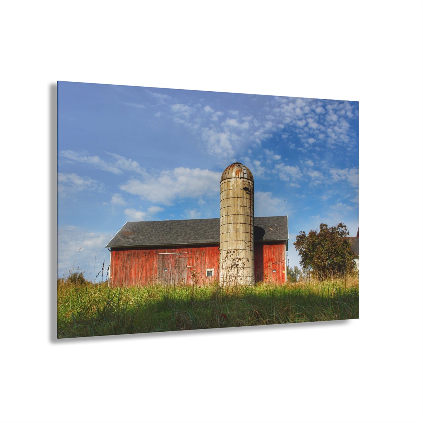 Barn Boutique Modern Farmhouse Acrylic Wall Print| Clarkston Road Red I