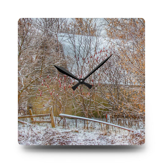 Dryden Road Hidden Winter Grey Rustic Farmhouse Acrylic Analog Wall Clock