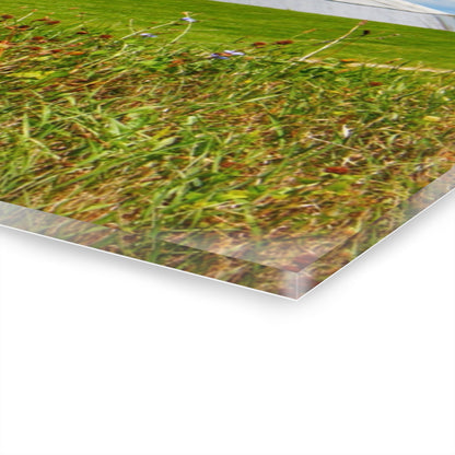 U R There Photography Hough Road Greens Rustic Farmhouse Acrylic Wall Print