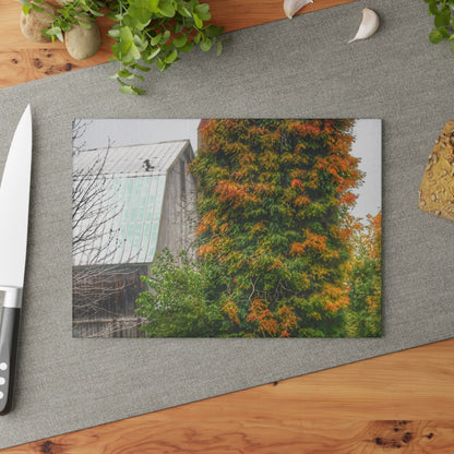U R There Photography Ludwig Road Oxford Grey and Silo Rustic Farmhouse Tempered-Glass Cutting Board