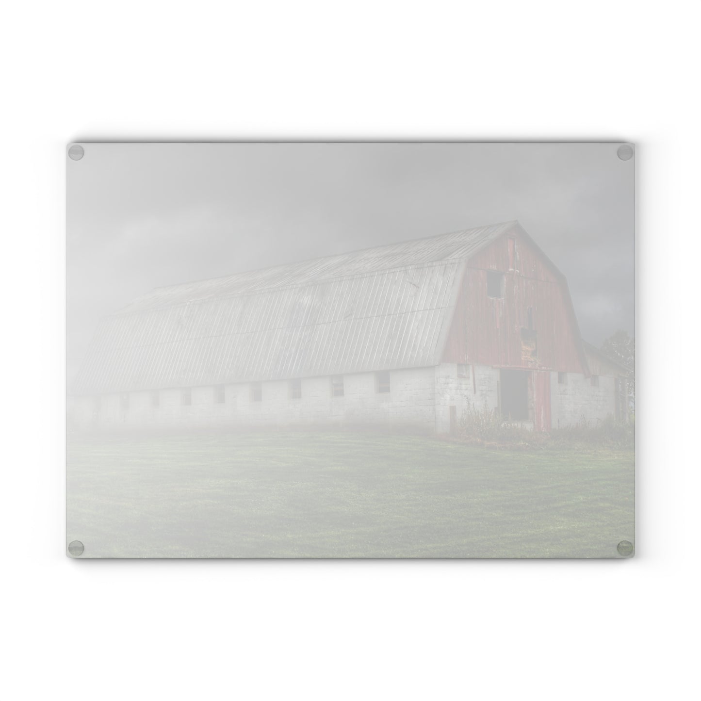 U R There Photography Peters Red Appaloosa II Rustic Farmhouse Acrylic Wall Print