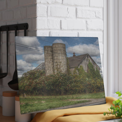 U R There Photography Metamora M-24 Grey II Rustic Farmhouse Tempered-Glass Cutting Board