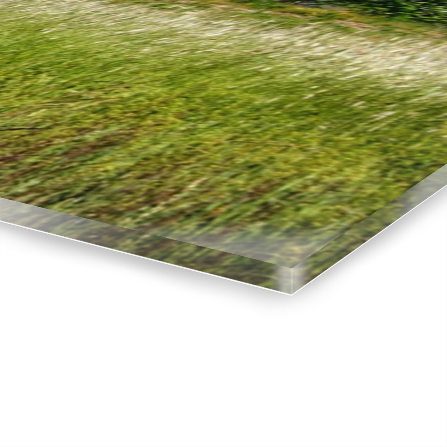 U R There Photography Elmwood Road Red IV Rustic Farmhouse Acrylic Wall Print